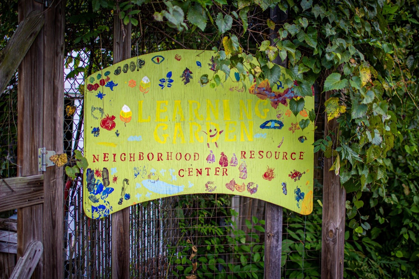 A bright yellow sign hanging on a wire fence that is covered with green plants. It has been decorated by kids with multi-colored paint and reads “Learning Garden-Neighborhood Resource Garden.”
