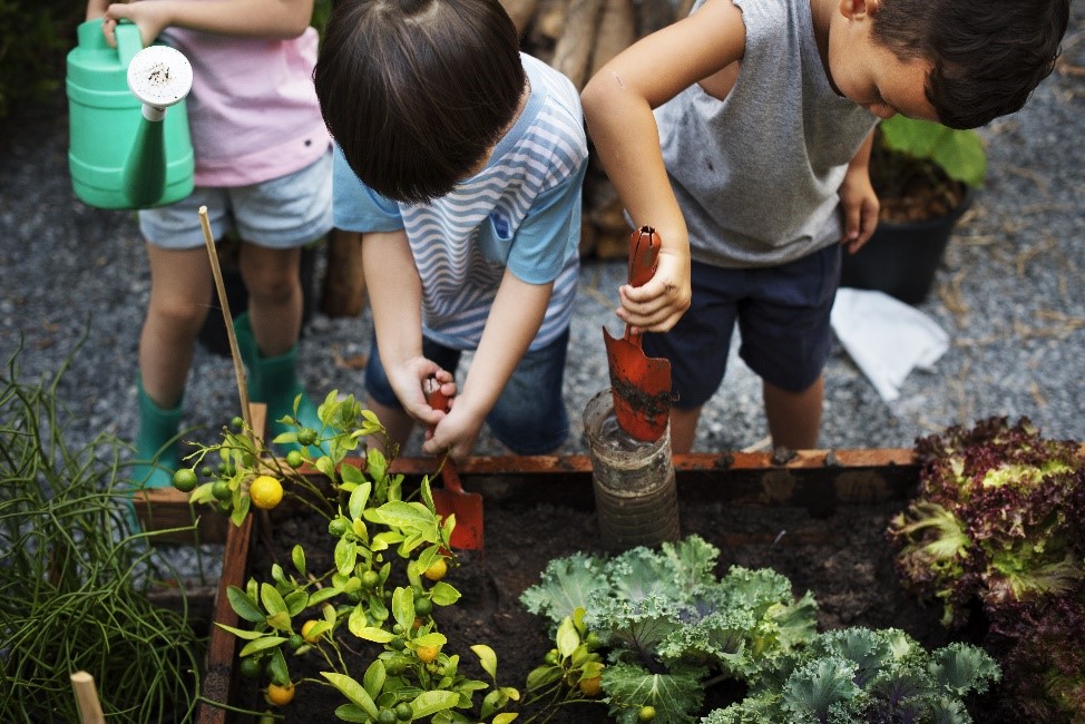 Food Waste Reduction through Farm to School Programs | USDA