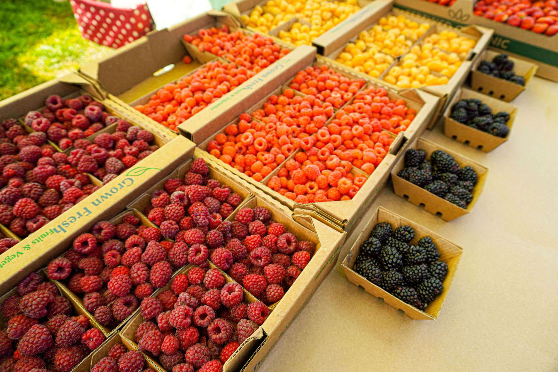 Organic strawberries, peaches, and different colors of raspberries