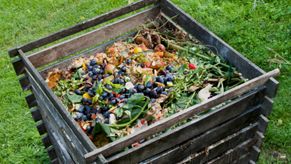 image of a compost bin containing food scraps.