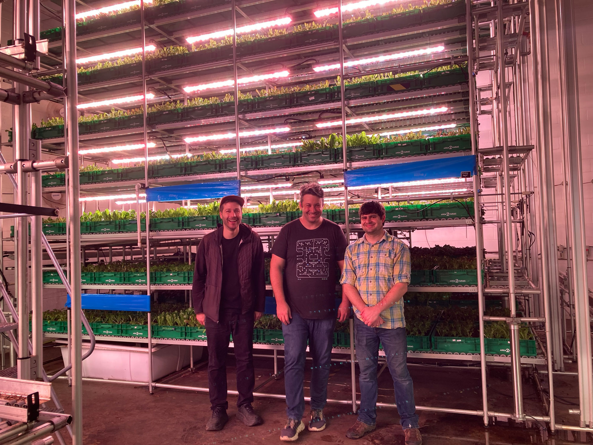 3 men standing in front of plants in containers