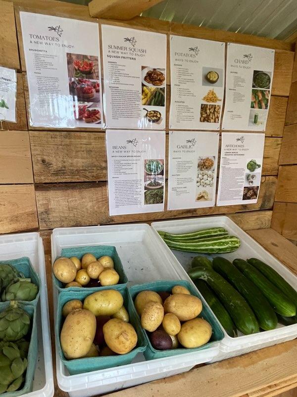 Recipes along with free, fresh produce, replaced daily in the Happy Compromise Farm + Sanctuary garden farm stand 