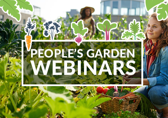 Text overlay saying People's Garden Webinars with two women in the background working in a garden