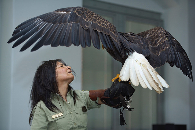 Death of Bald Eagle Yields Life Lessons for West Virginia Students | USDA