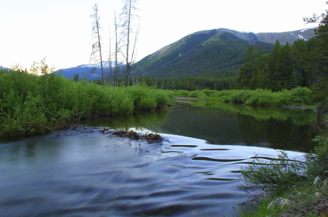 A scenic view of Meadow Creek in the Scapegoat Wilderness