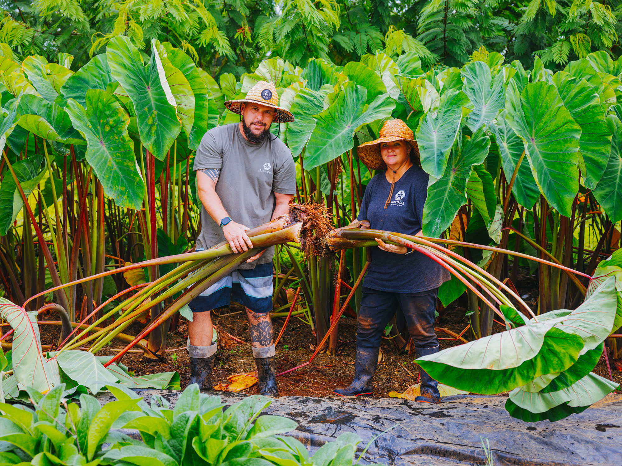 Two people at Ho'ola Farms in Hawaii