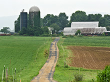 Photo of an organic farm.