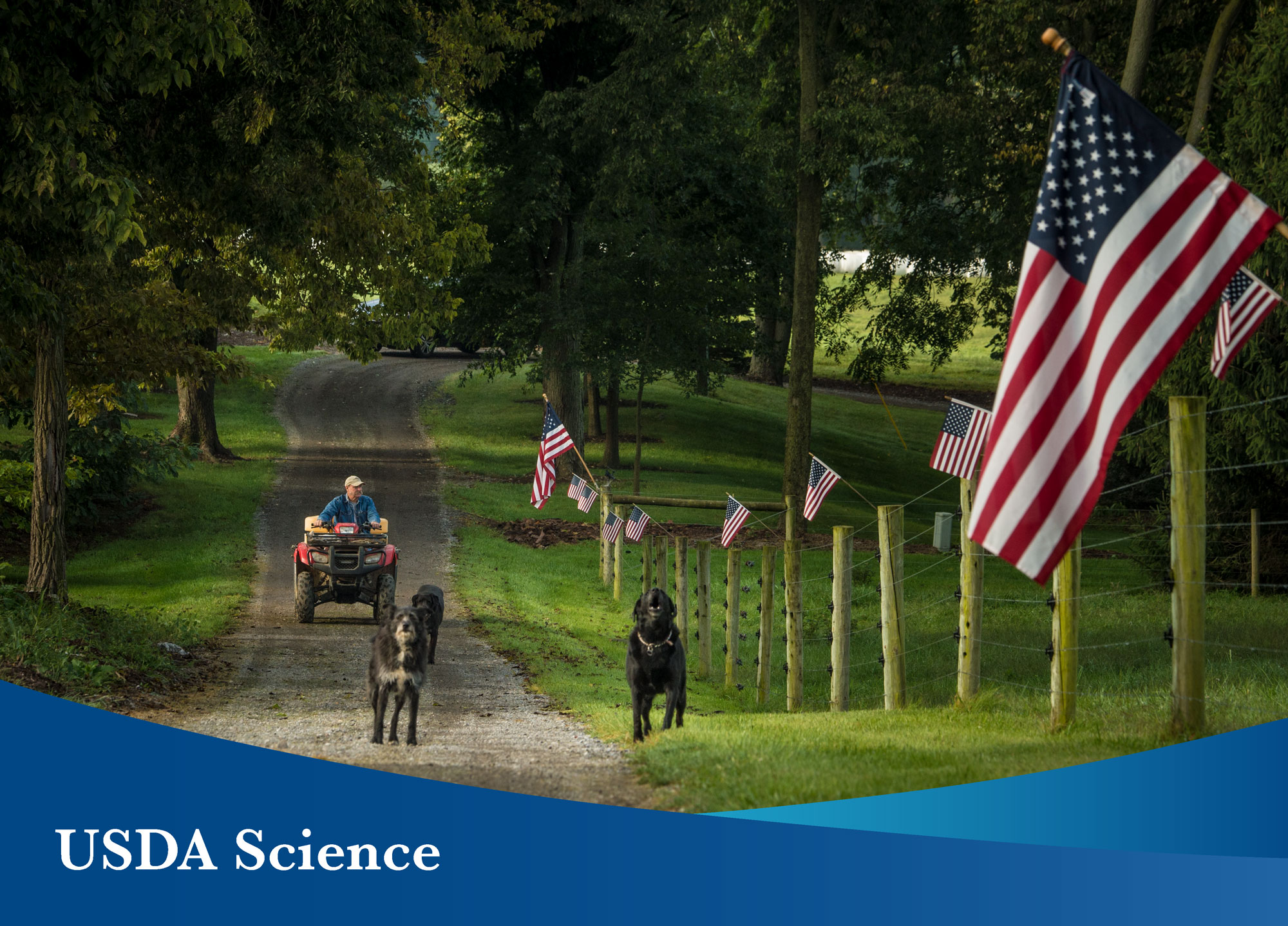 USDA Science text overlay with a man riding a tractor with dogs in front of him beside a row of United States flags on a fence in the woods