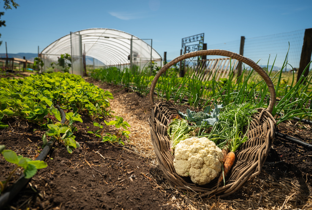 USDA Increases Investment in Regenerative Pilot Program to Lower Farmer ...