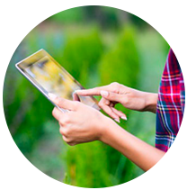 Woman holding a tablet