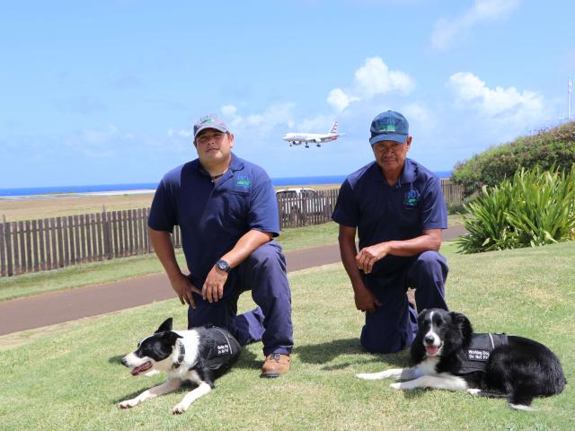 WS canine teams (left to right) Cliff Silva with Quade and Caesar Trinidad with Quinn