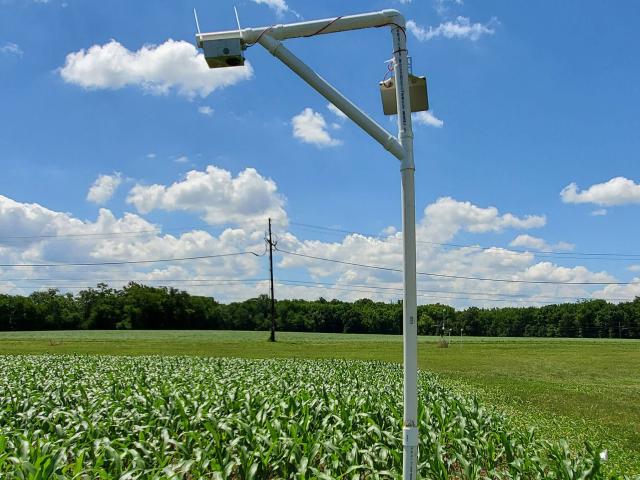 A StressCam monitors drought conditions at a Long-term Agroecosystem Research Network cornfield in Beltsville, Md