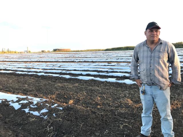 Puerto Rican farmer stands beside empty field after losing crop of watermelons to floods caused by Hurricane Maria in September of 2017