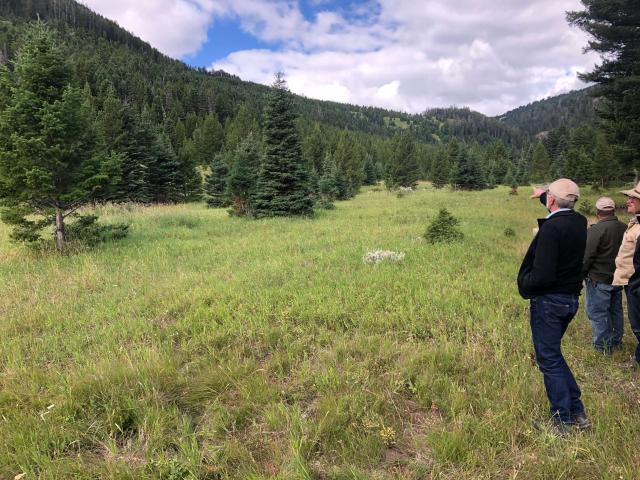 A Montana ranch crew examines the effects of timber encroachment on grazing and riparian areas