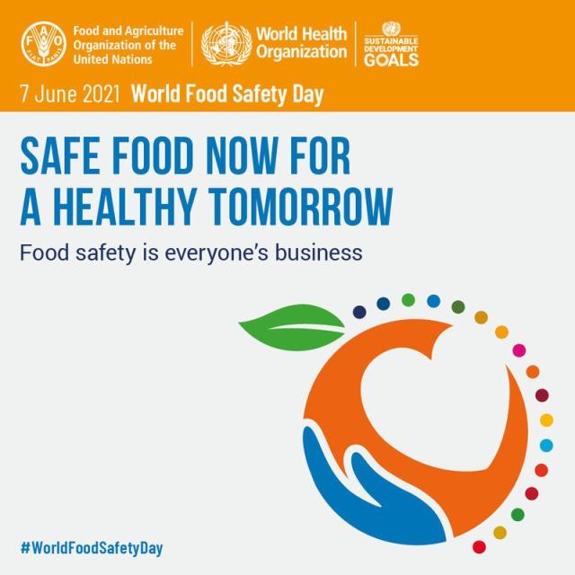Safe Food Now for a Healthy Tomorrow graphic