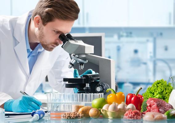 Food quality control expert inspecting specimens of groceries in the laboratory