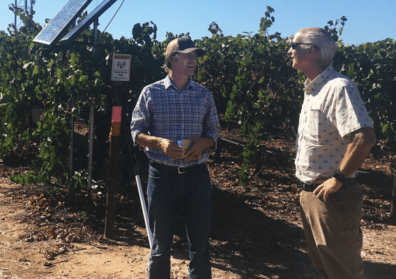Agricultural Research Service scientists Andrew McElrone and David Knaebel stand in a California vineyard next to a solar powered monitor that maps water use to improve irrigation
