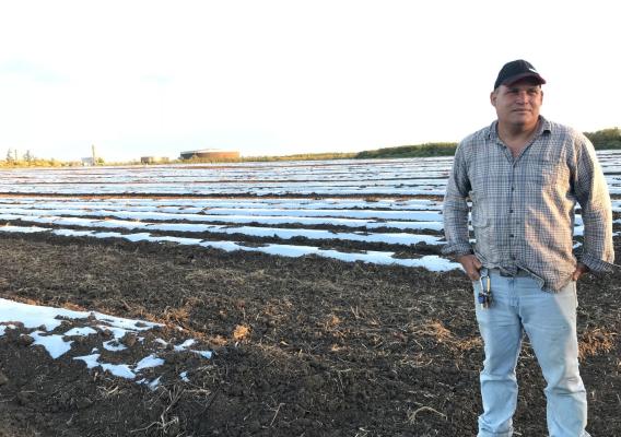 Puerto Rican farmer stands beside empty field after losing crop of watermelons to floods caused by Hurricane Maria in September of 2017