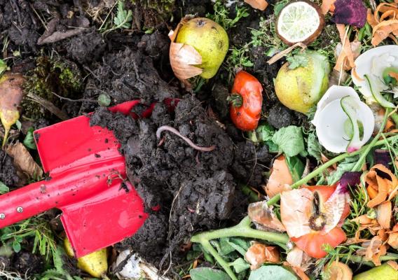 Food waste in soil with a worm and a red shovel