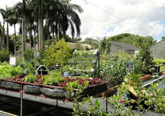 Research Garden at the University of San Juan Botanical Garden