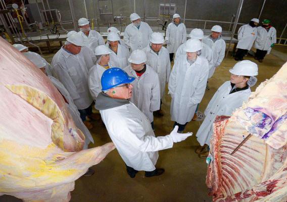 AMS Livestock and Poultry Program staff explain beef carcass grading to participants at the Fall 2022 event at the West Texas A&M University Cattle & Carcass Training Center