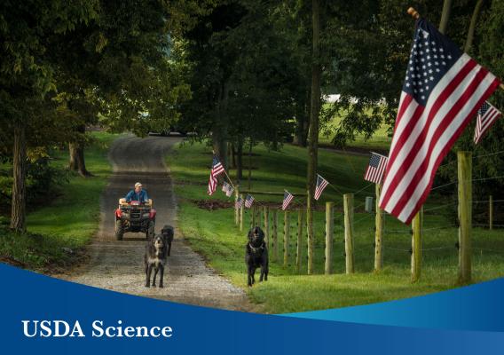 USDA Science text overlay with a man riding a tractor with dogs in front of him beside a row of United States flags on a fence in the woods