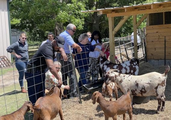 USDA’s Path to Prosperity Team visited Sheepy Acres Farm