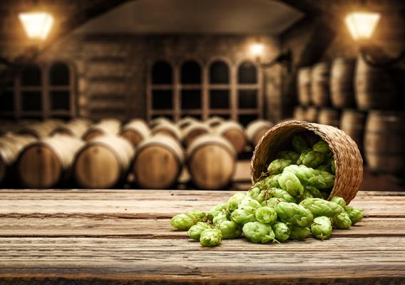 A basket of hops on a table with barrels in the background