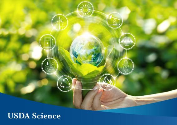 Image of a hand holding a light bulb against nature on green leaf with icons of energy sources for renewable and sustainable development. The words “USDA Science” are included on a blue banner overlaying the image