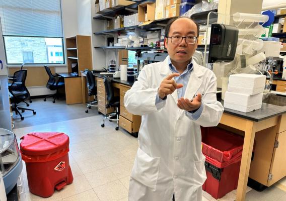 Henry Wan, Ph.D., Professor and Director of the Center for Influenza and Emerging Infectious Diseases at the University of Missouri