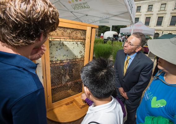 USDA APHIS PPQ Deputy Administrator Osama El-Lissy viewing bees at USDA Farmers Market