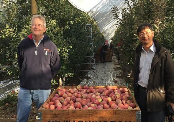 APHIS Foreign Service Officer Russ Caplen with a Taiwan government official inspecting apples