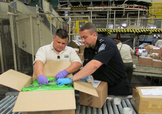 A U.S. Customs and Border Protection agriculture specialist, with assistance from SITC, inspecting a parcel