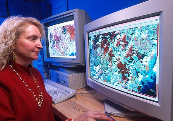 A scientist looking at a computer