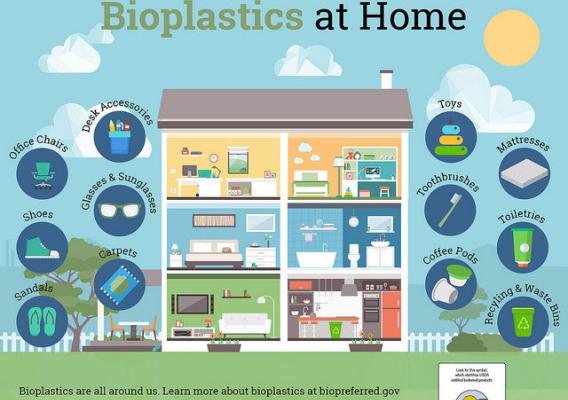 Bioplastics at Home infographic