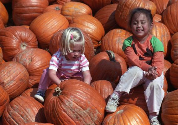 Two girls playing on pumpkins