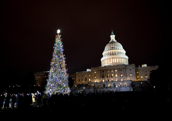 The U.S. Capitol Christmas Tree in front of the Capitol
