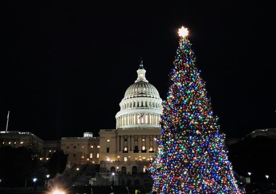 The U.S. Capitol Christmas Tree on the West Lawn of Capitol Hill