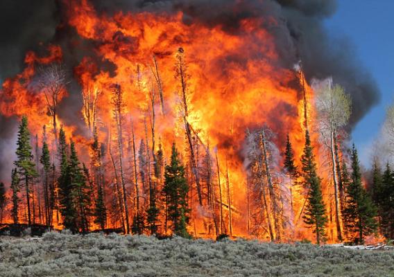 A high-intensity prescribed fire on the Fishlake National Forest in Utah
