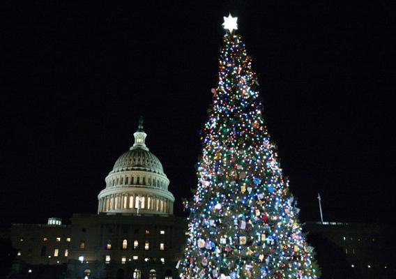 The People’s Tree lights up the U.S. Capitol