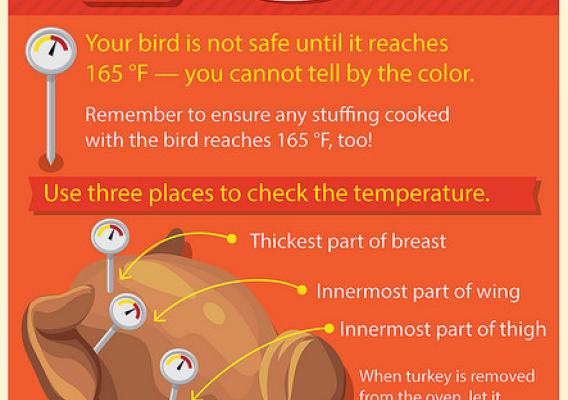 Turkey Cook infographic