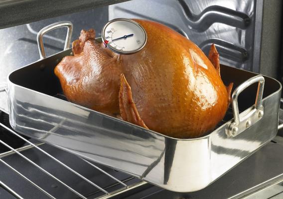 A turkey with a food thermometer