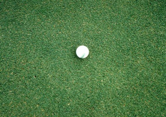 A putting green with a golf ball