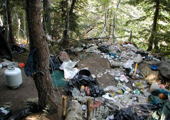 A small portion of the garbage and debris left in the forest at a drug trafficking organization's marijuana grow site on the Shasta-Trinity National Forest in California. (US Forest Service photo)