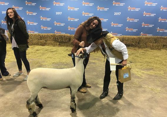 Hanna Lisenbe during the 2017 Houston Livestock Show and Rodeo, at the sale. Photo credit: Hanna Lisenbe, with permission