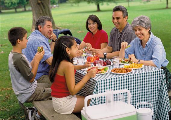 A family having a picnic at a park