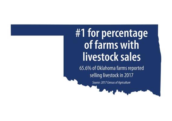 Graphic showing number one percentage of farms with livestock sales in Oklahoma