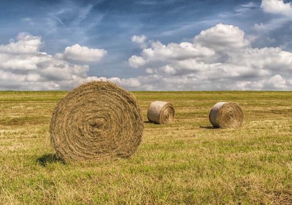 Bales of hay in West Virginia
