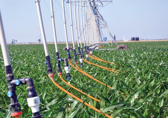 Mobile drip irrigation