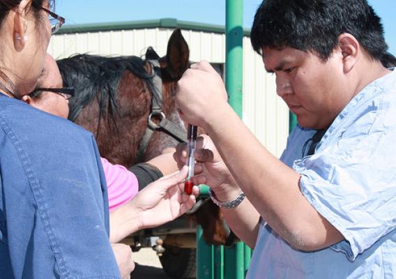 American Indian students at Navajo Technical College